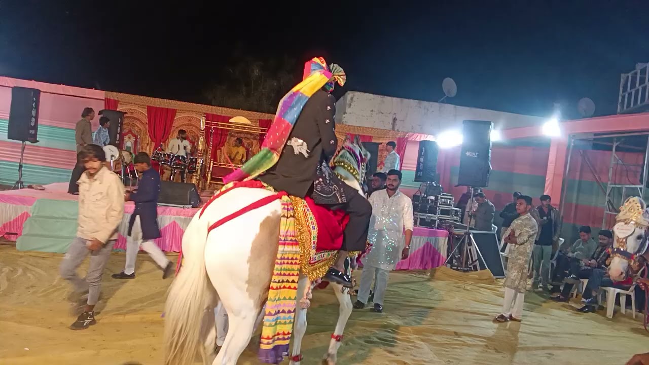 12 ફેબ્રુઆરી, 2026