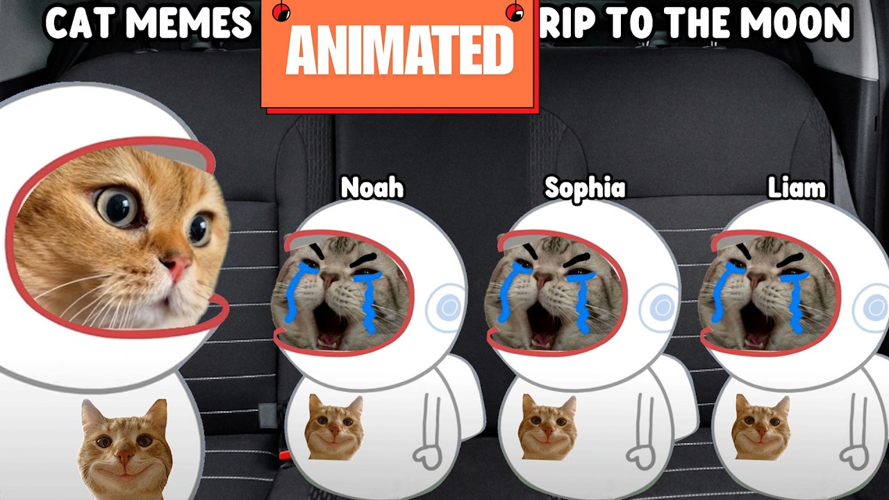 CAT MEMES FAMILY ROAD TRIP TO THE MOON