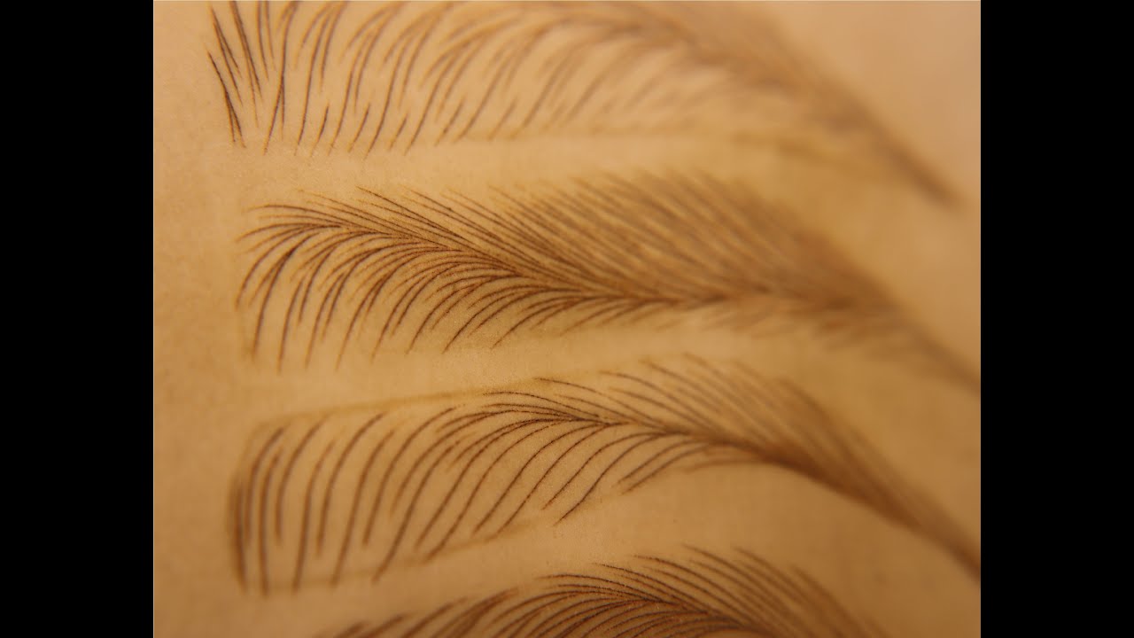 TIPS DE TRAZOS SUPERIORES / MICROBLADING / ACADEMIA DIMECH´S MASTER RAYMOND MENDEZ