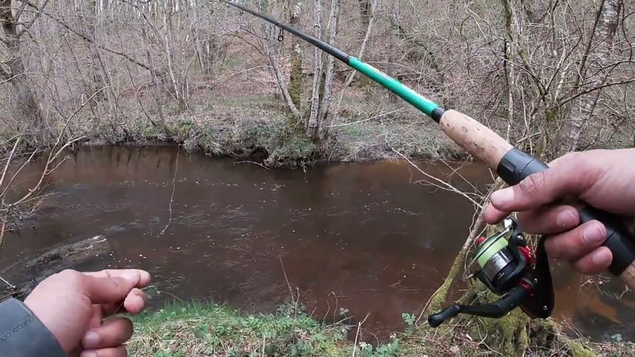 Petite session truite #pêche #truite #toc #rivière
