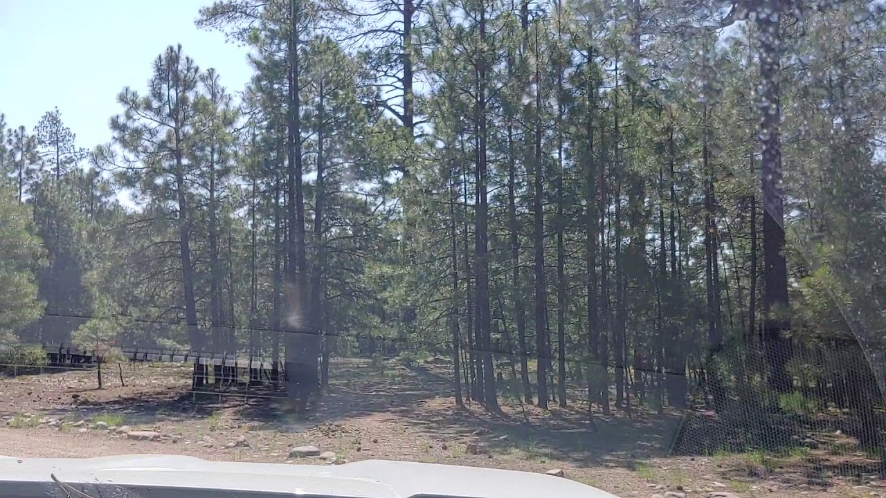 Video of Black Canyon Rim, AZ from Daniel L.
