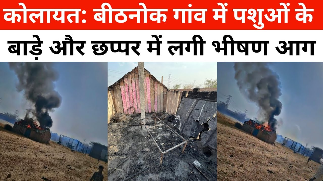 Kolayat News: बीठनोक गांव में पशुओं के बाड़े और छप्पर में लगी भीषण आग ।