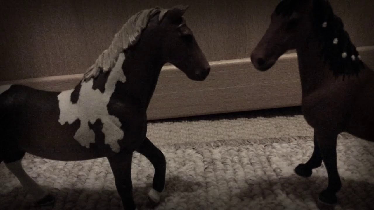 Sad song-schleich music video