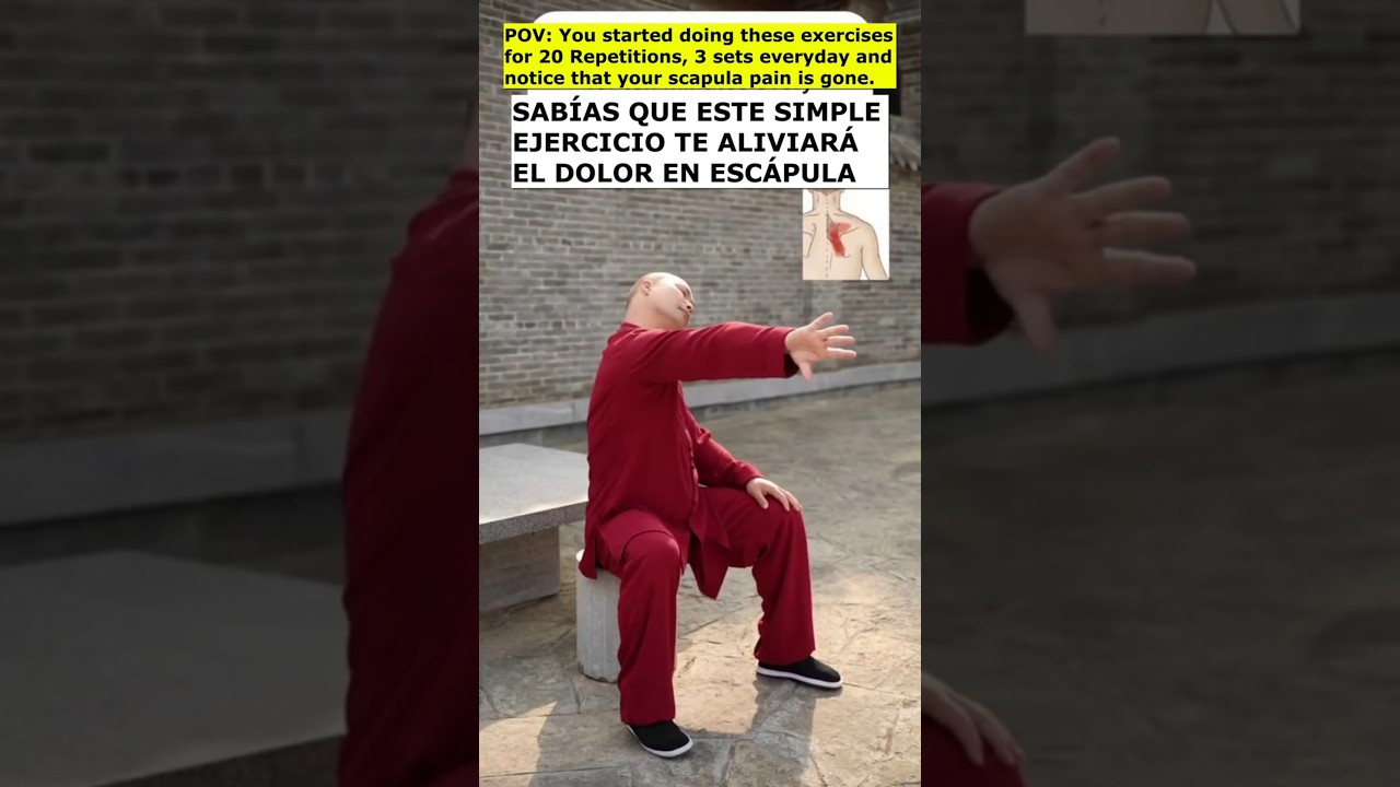 MEJOR EJERCICIO para el DOLOR de ESC&Aacute;PULAS #fisioterapia #shoulderpain