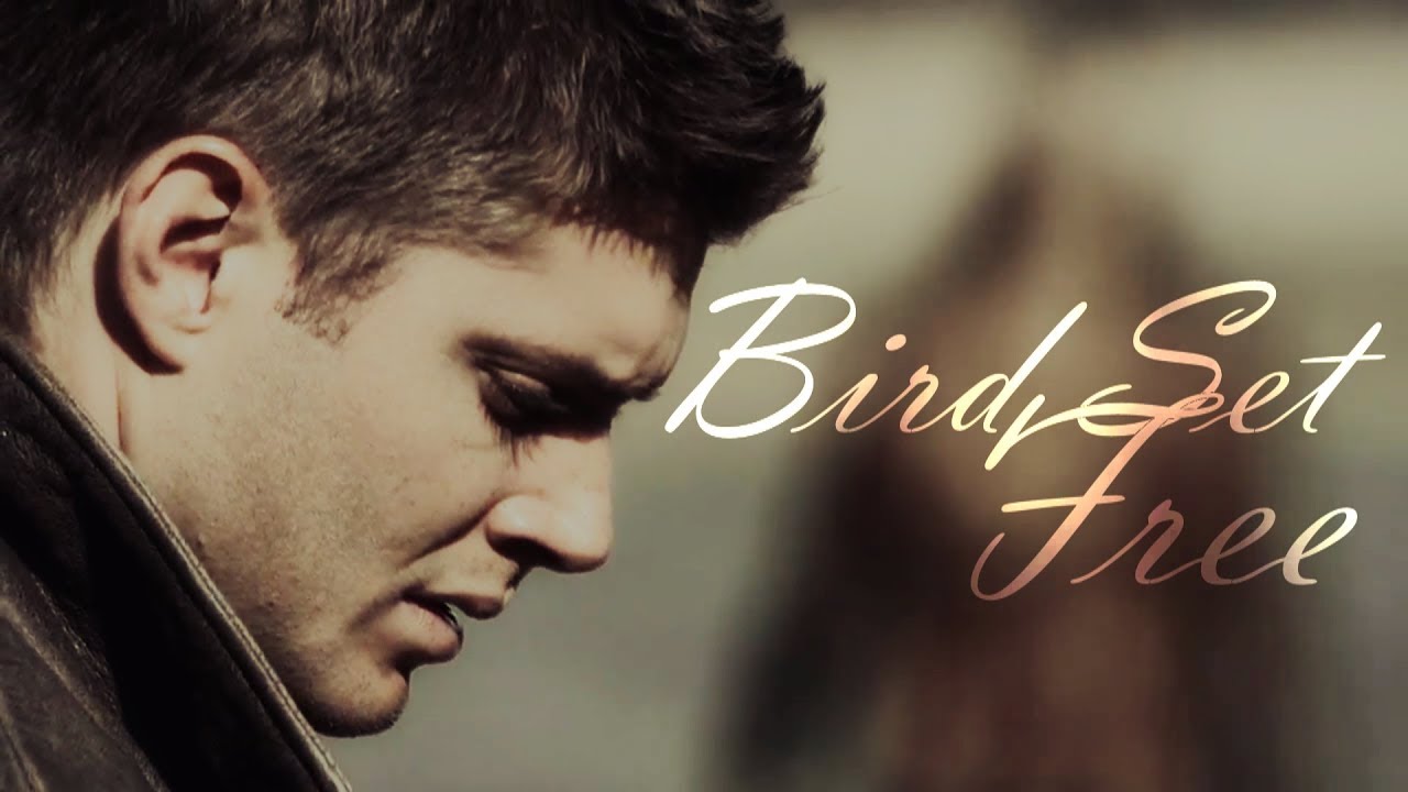 Supernatural | Bird Set Free