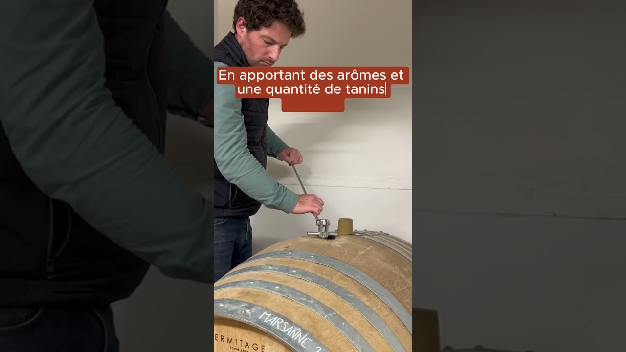 Les m&eacute;thodes de vinification - Le f&ucirc;t de ch&ecirc;ne