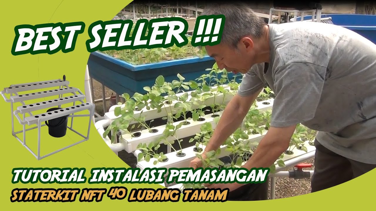 Rakit Sendiri ! Starterkit Hidroponik NFT 40 Lubang  Jirifarm #hidroponik #NFT  #tutorial #sayur #go