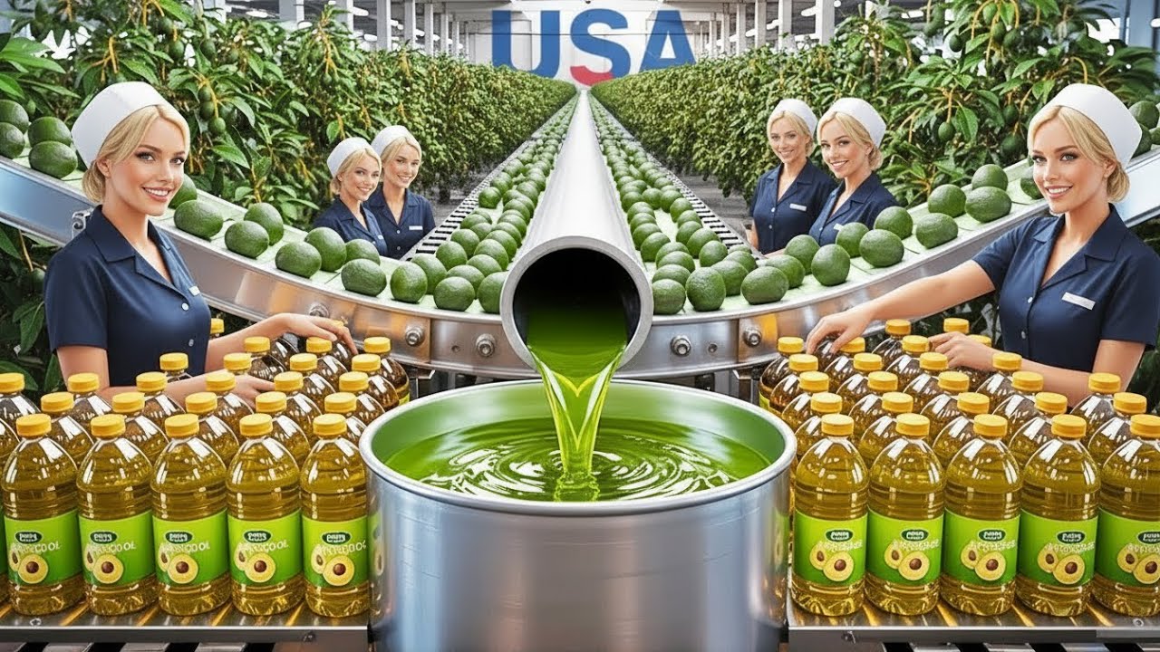 How Avocado Oil Is Made: Inside The Factory Process