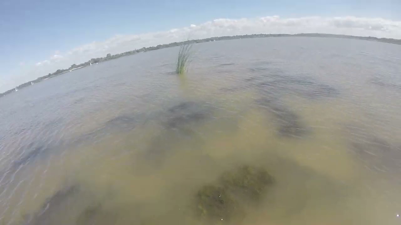 increible ...miren que encontramos en el rio de la plata