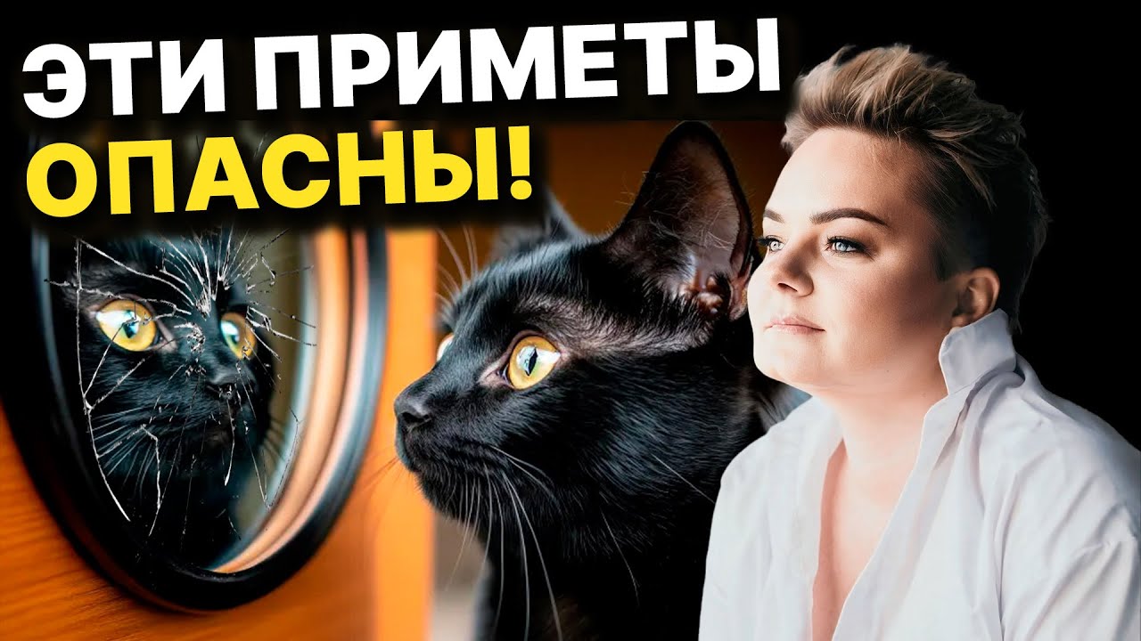 Разбитое заркало и черный кот - к чему это? Какие приметы саме опасные? Анастасия Казачок