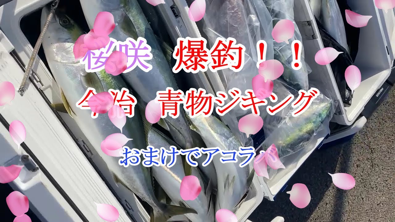 激釣青物ジギング　IN今治    船の魚探とアップルウオッチで連動　＃ジギング＃アコラバ＃jigging#fishing