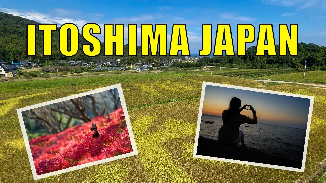 Red Rice Fields and Seaside Stay in Itoshima, Fukuoka! | Biking Japan Vlog | 糸島、福岡、サイクリング