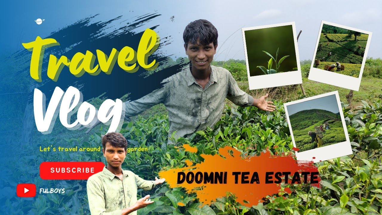 DOOMNI TEA  ESTATE  ALL AROUND TRIBLE 🫣😱🥀🥀#Doomni vlog#anand #fulboys Chanel #travel vlog