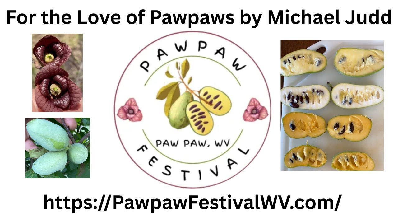 Фестиваль Pawpaw в Западной Вирджинии «За любовь к Pawpaws» Майкла Джадда