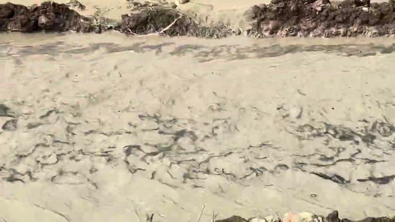 Grass cutting in #arecanutfarming