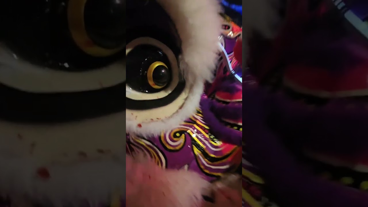 Cabramatta lion dance with Dong Thanh
