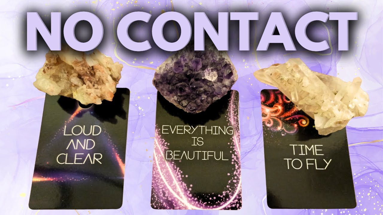 NO CONTACT! FEELINGS, ACTIONS.  PICK A CARD TIMELESS TAROT READING