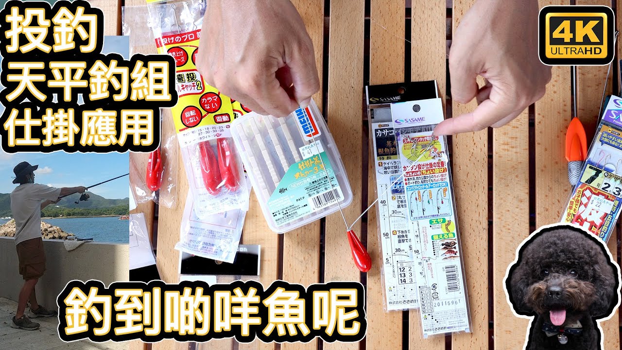 投釣｜天平釣組｜仕掛｜ 會釣到啲咩魚呢？   4K