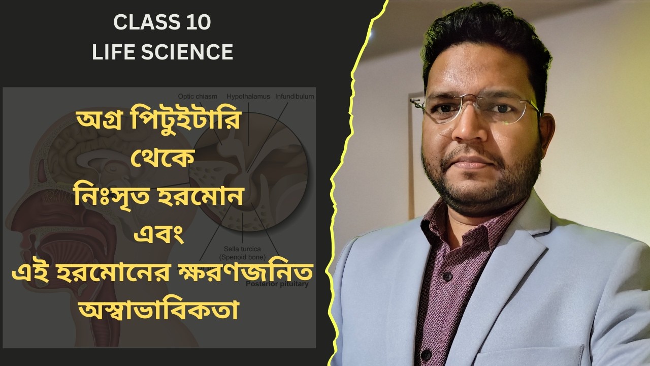 অগ্র পিটুইটারি থেকে নিসৃত ৩টি প্রধান হরমোন