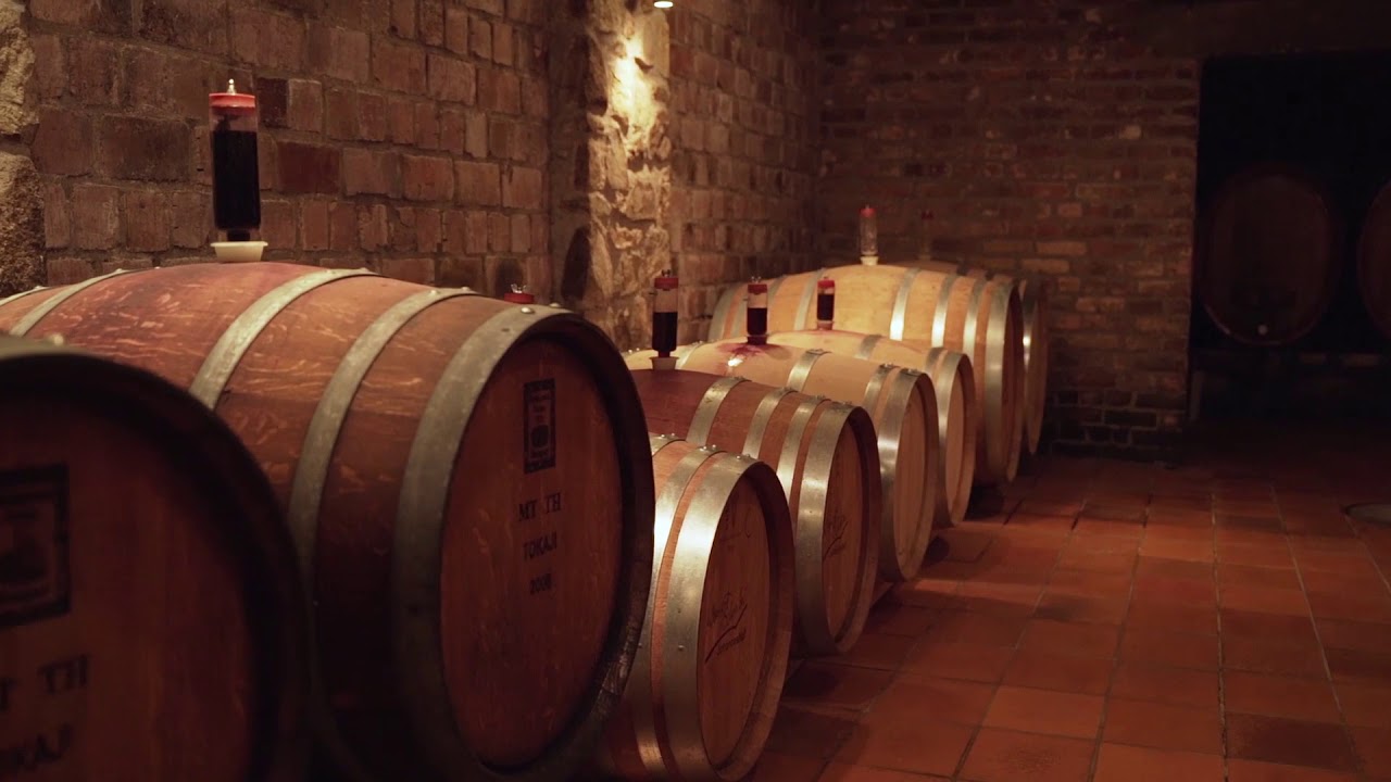 Vinothek Weingut Schreiber Hochheim