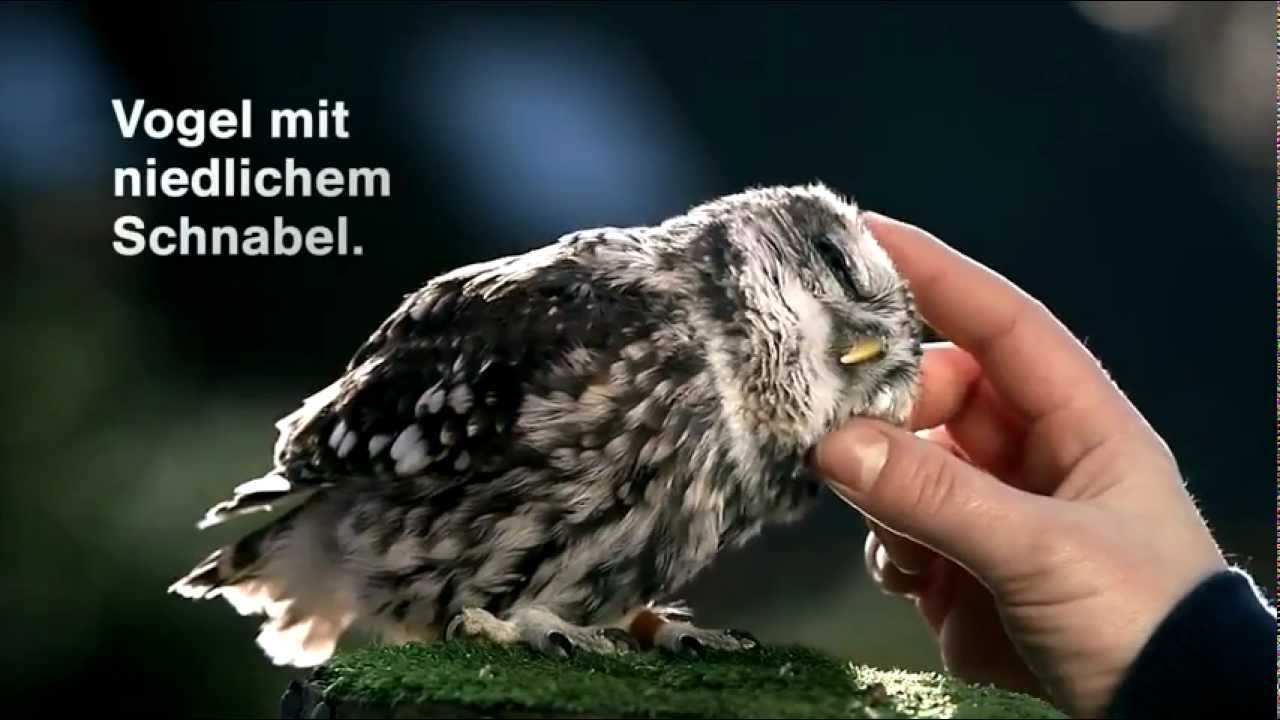 Lufthansa Werbung