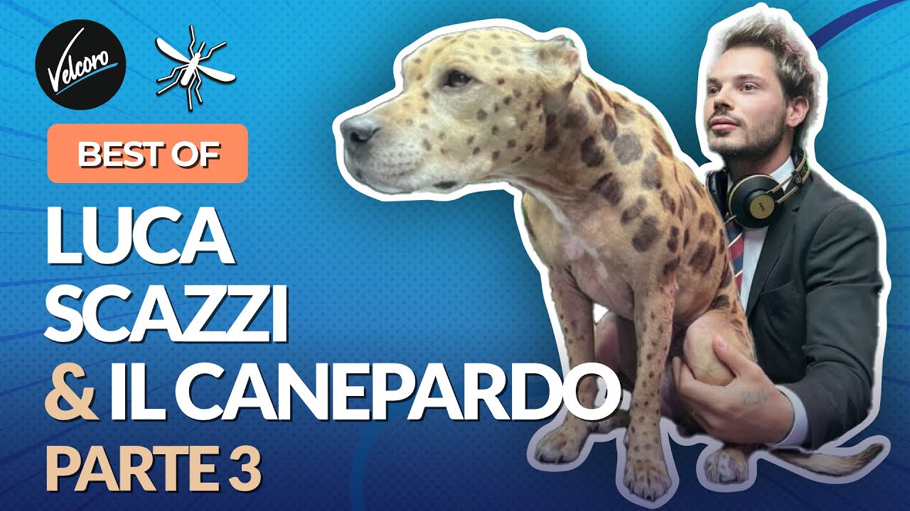 BEST OF - Luca Scazzi & Il Canepardo - Parte 3 - Speciale La Zanzara