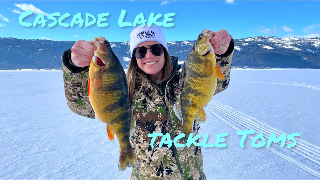 Jumbo Perch on Cascade Lake, Idaho with Tackle Tom’s