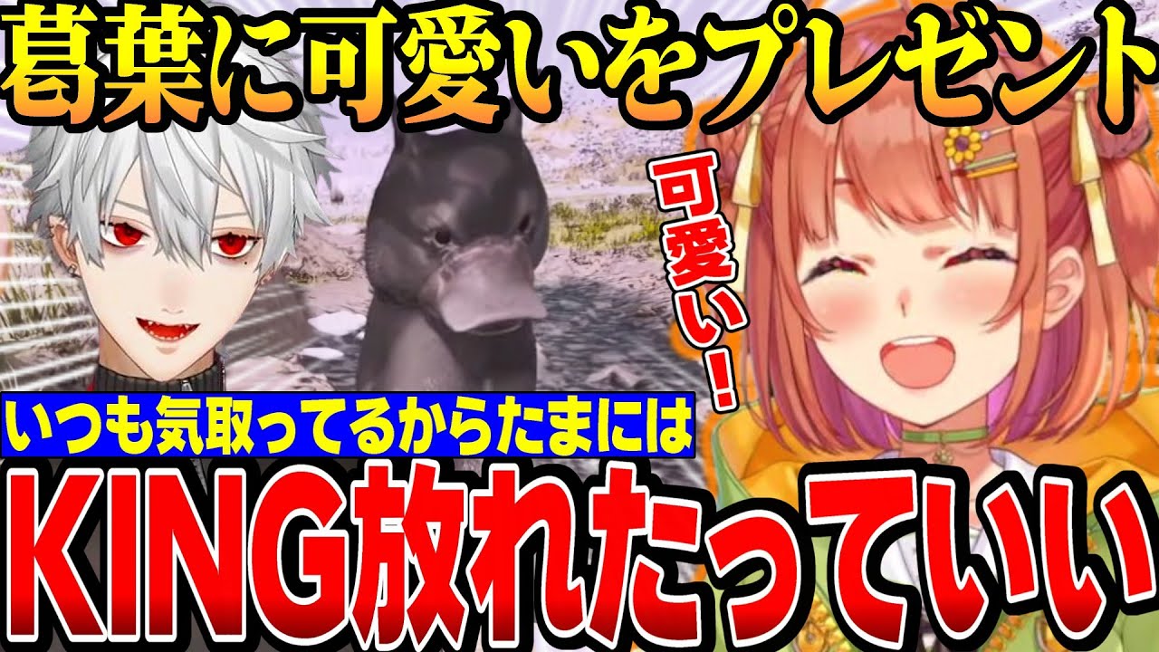 【#にじARK】可愛いって言われるの嫌だろうからｗ 葛葉に着ぐるみをあげるひまち【にじさんじ切り抜き/本間ひまわり/葛葉/五十嵐梨花/伊波ライ/ロストコロニー】