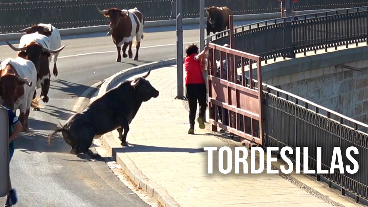 Tordesillas 2025 Madre de la que se Libra