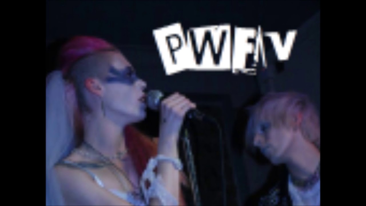 An Interview With     PussyWillowFurryVenus