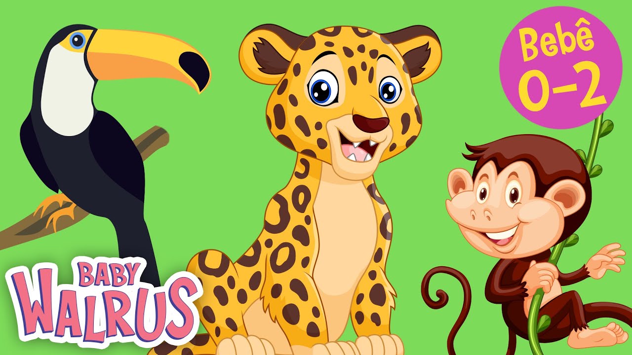 Vendo e Aprendendo #6 | Os Animais da Selva Parte 2 | Série Educativa