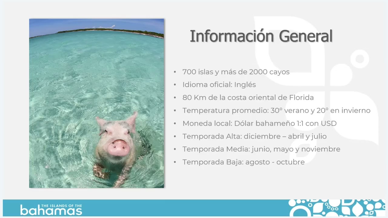 Webinar Las Bahamas Mar 03 2026 11 00 AM