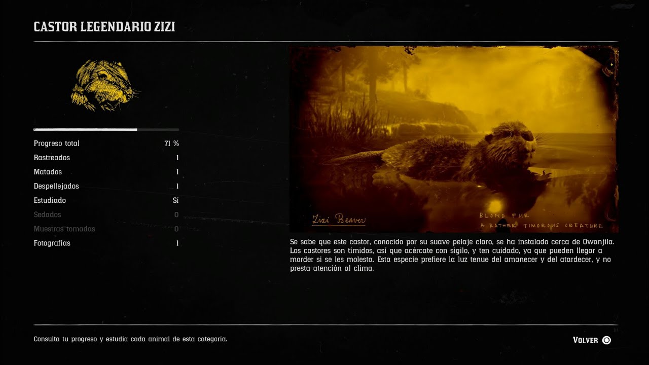 Red Dead online CASTOR LEGENDARIO ZIZI