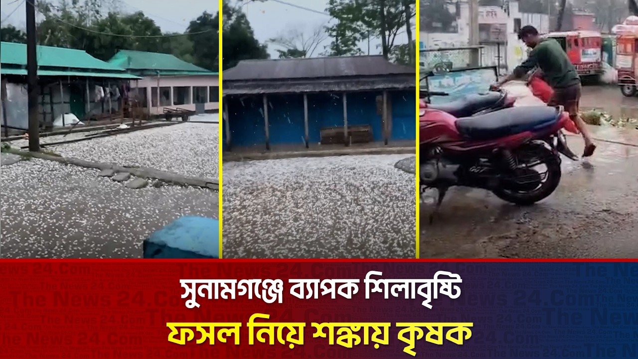 সুনামগঞ্জে ব্যাপক শিলাবৃষ্টি, ফসল নিয়ে শঙ্কায় কৃষক | Click The News