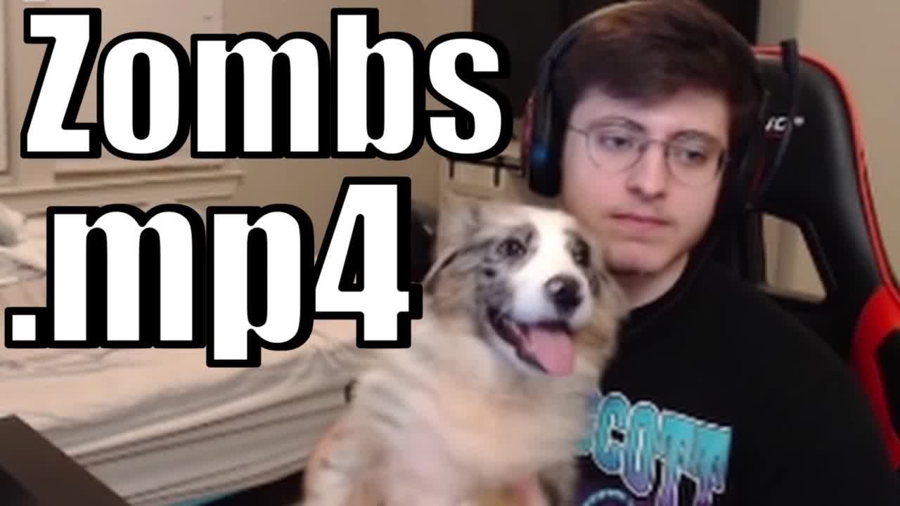 Zombs.mp4