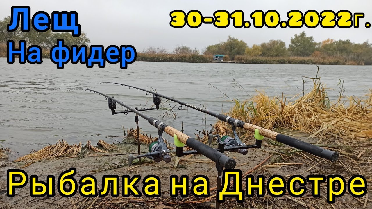 Рыбалка на Днестре в октябре. Лещ на фидер.#рыбалка2022#фидер#днестр#лещ#