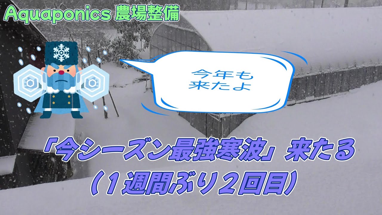 #101 今シーズン最強寒波来たる（１週間ぶり２回目）