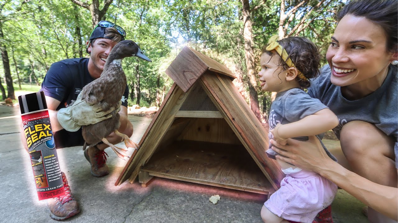 Cheap DIY Duck House Build Using Flex Seal