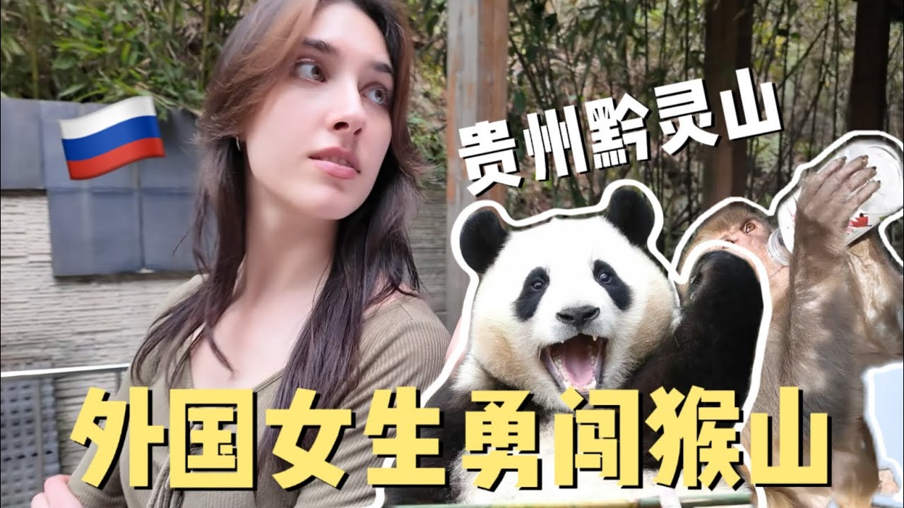 带俄罗斯小姐姐游中国猴山！竟被猴群袭击！？还有大熊猫！太离谱了