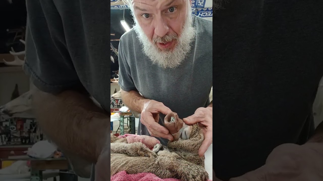 Making ear butts out of clay,sorry bout the music in background didn't know till after twas that lou