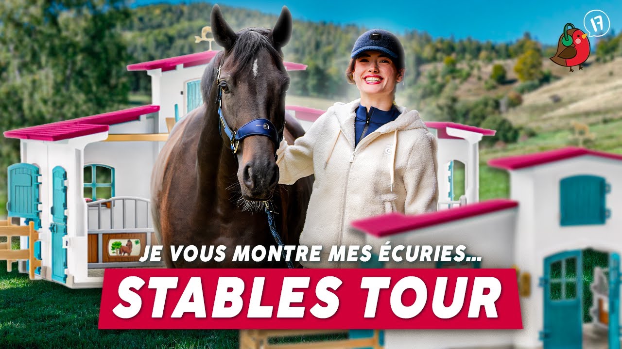 JE VOUS MONTRE MES ÉCURIES... stables tour ! 😍 #cheval #equitation