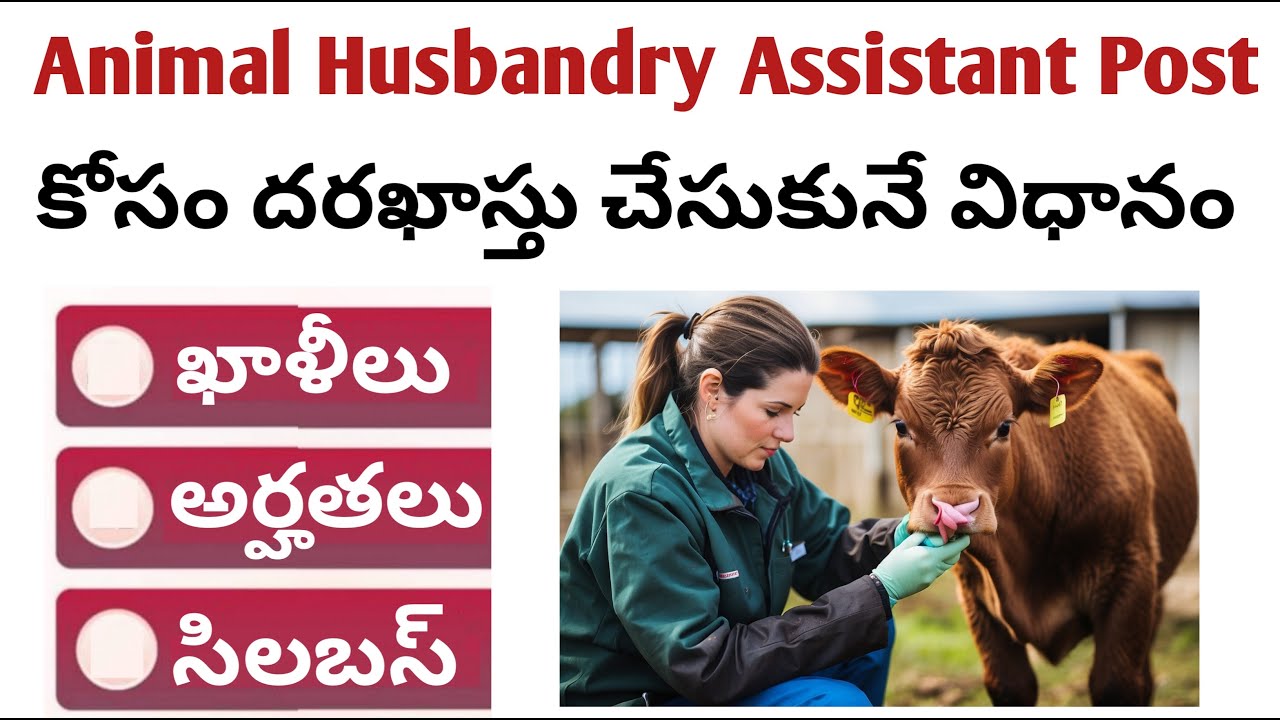 How to apply for Animal Husbandry Assistant  post. fee payment, exam pattern and syllabus