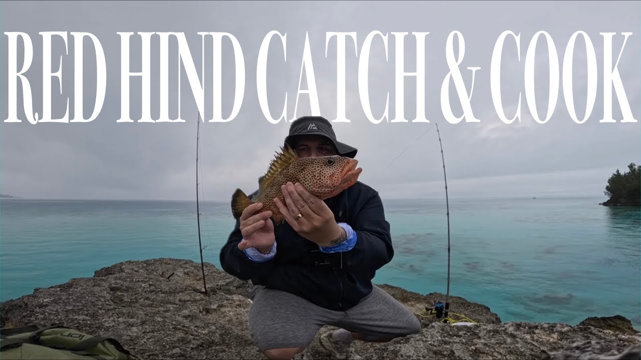 I CAUGHT and COOKED a RED HIND in Bermuda 🇧🇲 | Fishing in a Rainstorm 