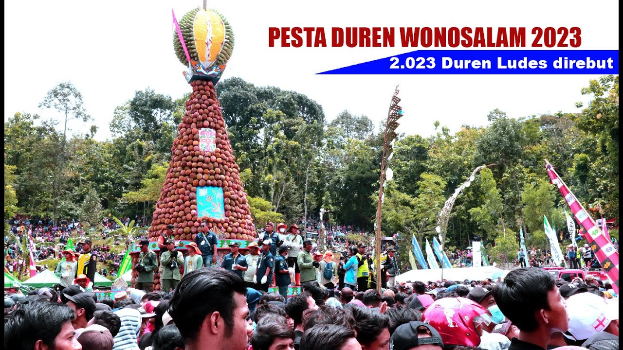 RIBUAN WARGA TUMPLEK BLEK Berebut Duren Saat PESTA DURIAN Wonosalam Jombang 2023