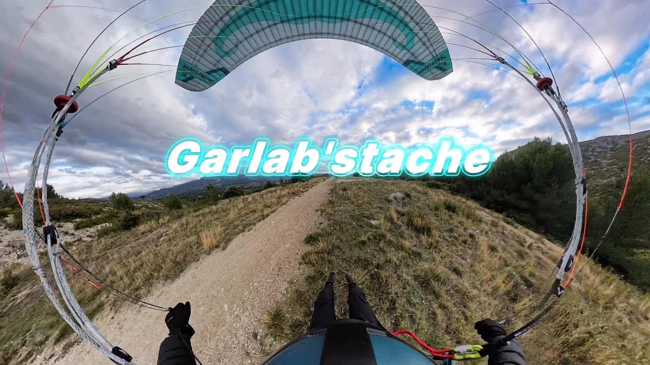 Garlab'stache