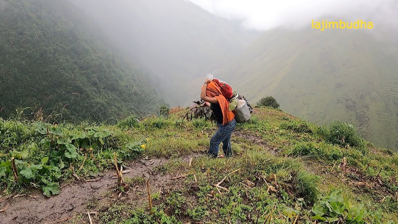 village life in raining season || lajimbudha ||