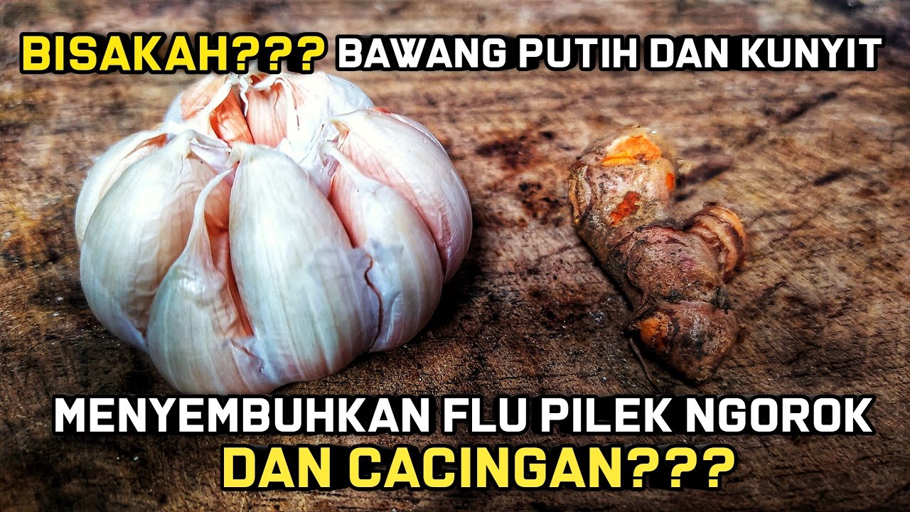 MENYEMBUHKAN AYAM PILEK FLU NGOROK DAN CACINGAN - HANYA DENGAN BAWANG PUTIH?? BISAKAH???