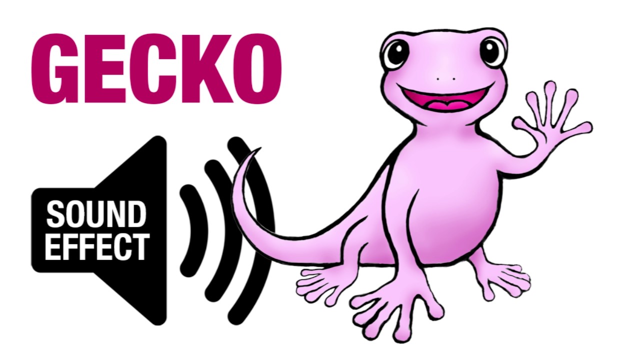 Gecko Sound Effect - Chirp