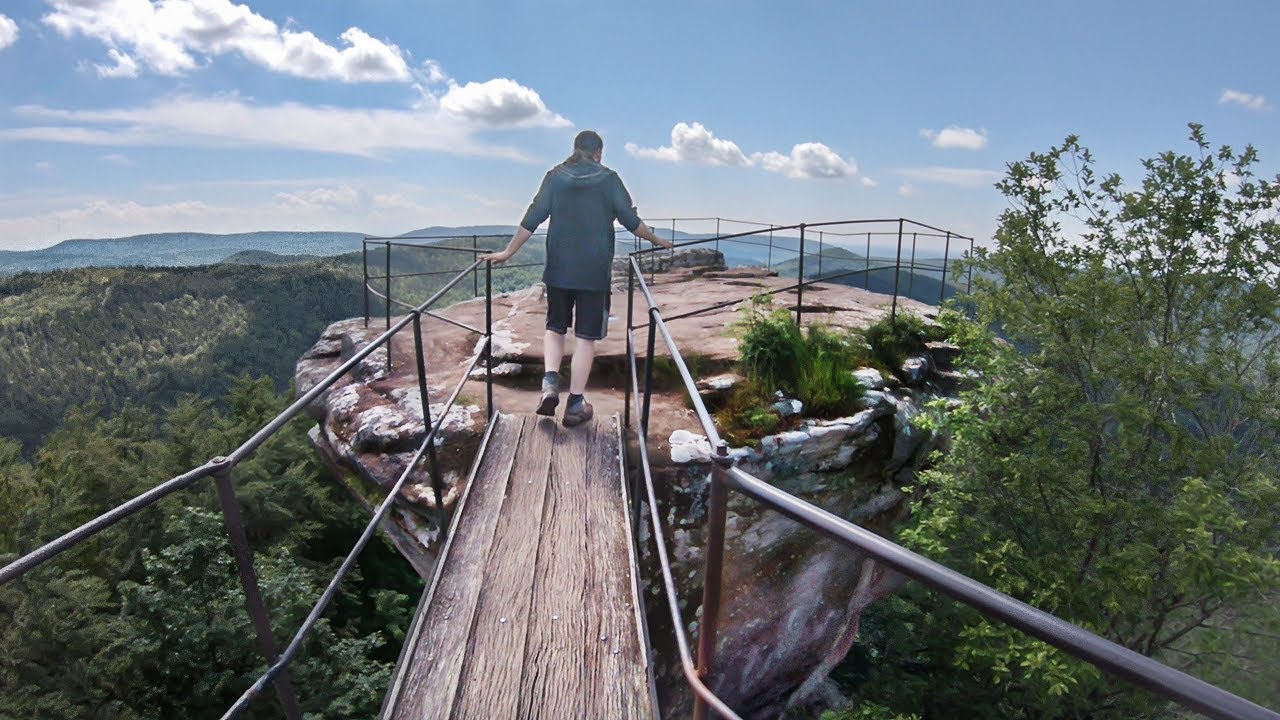Höhenmeter schrubben - Pfälzer Wald, du Sau! 😅 | Felsenland Sagenweg | 4 Tages-Tour [Teil 2/2]