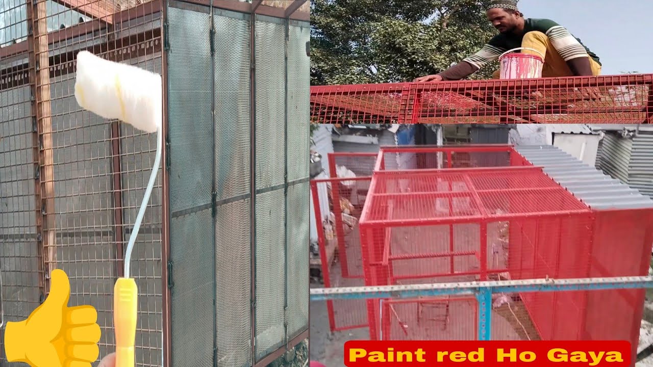 Pigeons Loft Painting ho gaya red colour 🏠👍